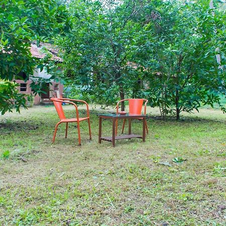 Raikar Guest House ボグマロ エクステリア 写真